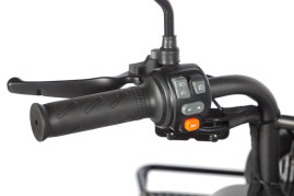 Трицикл электрический Wanshida UM+ (60V, 1000W, черный)