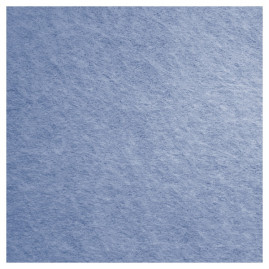 Салфетка TTS FREE-T (38х40см, синий, 1шт)