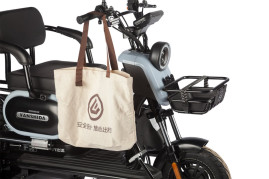 Трицикл электрический Wanshida UN MOTO (60V, 650W, черный)