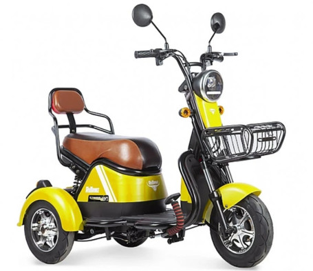 Трицикл электрический Rutrike Шкипер (желтый)