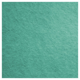 Салфетка TTS FREE-T (38х40см, зеленый, 1шт)