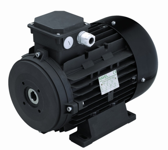 Электродвигатель RAVEL 2602A (9.2кВт, 380В, 1450об/мин, п.в. 24мм, H132L)