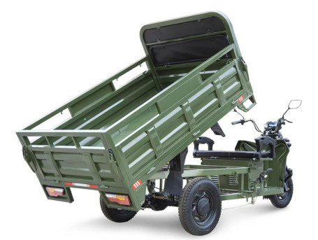 Трицикл электрический Rutrike D4 Next 1800 60V 1500W (красный)