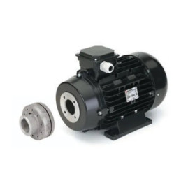 Электродвигатель Nicolini (22кВт, 380В, 1450об/мин, п.в.24мм, H160, с муфтой)