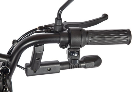 Трицикл электрический Rutrike Караван (красный)