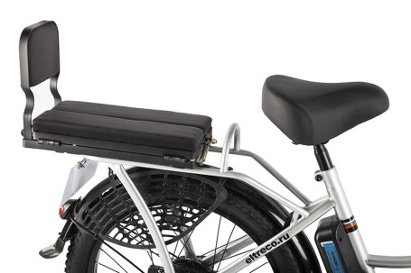 Электровелосипед GREEN CITY e-ALFA Fat (серебристый)