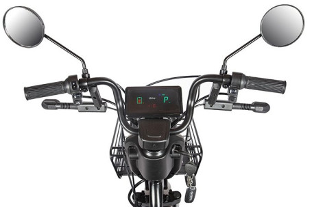 Трицикл электрический Rutrike Караван (зеленый)