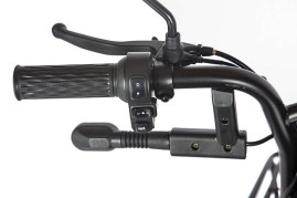 Трицикл электрический Rutrike Караван (черный)