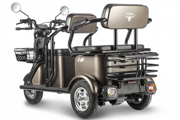 Трицикл электрический Rutrike Караван (коричневый)