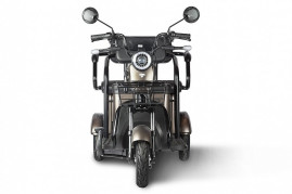 Трицикл электрический Rutrike Караван (коричневый)