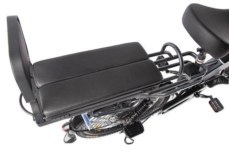 Электровелосипед GREEN CITY e-ALFA GL (черный)