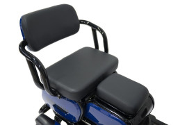 Трицикл электрический Rutrike Квадро (синий)