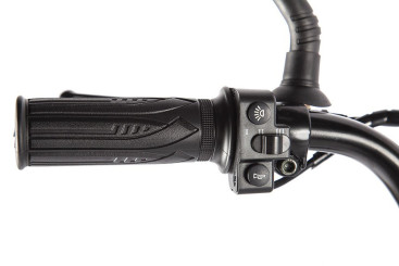 Электровелосипед GREEN CITY e-ALFA GL (красный)