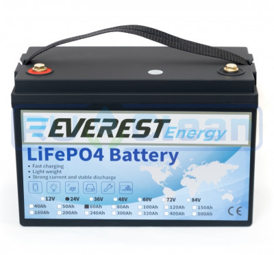Тяговый аккумулятор Everest Energy (24В, 60Ач, LiFePO4, Bluetooth)