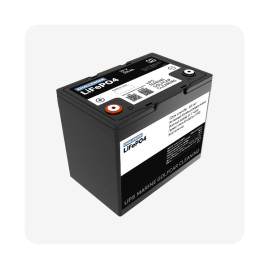 Тяговый аккумулятор Challenger LFP (12В, 100Ач, LiFePO4)