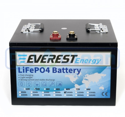 Тяговый аккумулятор Everest Energy (24В, 100Ач, LiFePO4, Bluetooth)