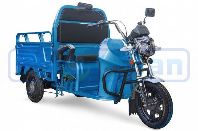Трицикл электрический Rutrike Вояж К1 1200 60V800W (синий)