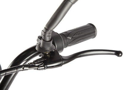 Электровелосипед GREEN CITY e-ALFA LUX (коричневый)