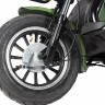 Трицикл электрический Rutrike Пилот (зеленый)