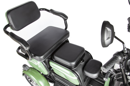 Трицикл электрический Rutrike Пилот (зеленый)