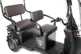 Трицикл электрический Rutrike Gelbert Bos (48/60V, 800W, синий)