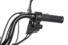 Трицикл электрический Rutrike Пилот (серый)