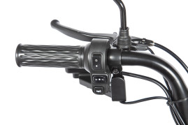 Трицикл электрический Rutrike Пилот (черный)