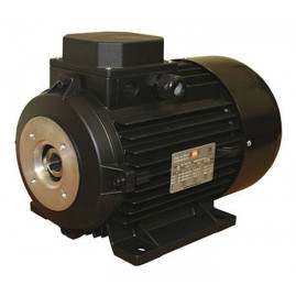 Электродвигатель EME TP 112 L4