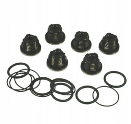 Комплект клапанов AR (для насосов серии AR , 1409050 + 620030 + 540361, 6шт)