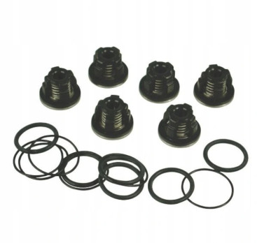 Комплект клапанов AR (для насосов серии AR , 1409050 + 620030 + 540361, 6шт)