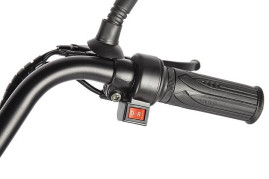 Трицикл электрический Eltreco Porter Fat 500 (черный)