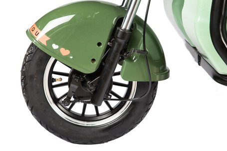 Трицикл электрический Rutrike Gelbert Kang (48/60V, 800W, зеленый) (0000266-3042)