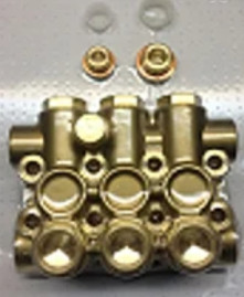 Головная часть насоса Mazzoni MMD MM-2 (D20мм, в сборе)