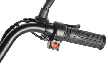 Трицикл электрический Eltreco Porter Fat 500 UP! (черный)