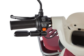 Трицикл электрический Rutrike Gelbert Mercury (48/60V, 650W, черный)