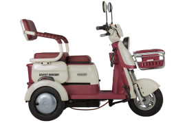 Трицикл электрический Rutrike Gelbert Mercury (48/60V, 650W, синий)