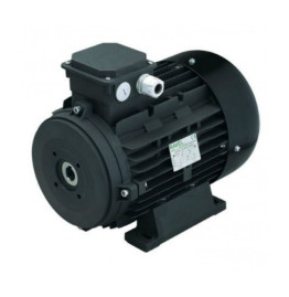 Электродвигатель RAVEL 2638 (15кВт, 380В, 1450об/мин, п.в. 24мм, H160)