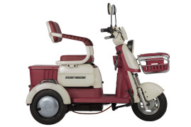 Трицикл электрический Rutrike Gelbert Mercury (48/60V, 650W, зеленый)