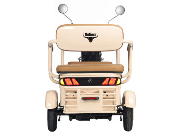 Трицикл электрический Rutrike Gelbert Atlas 48V/60V 600Вт (бежевый)