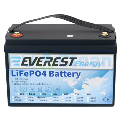Аккумуляторная батарея Everest Energy (24В, 60Ач, LiFePO4)