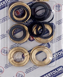 Ремкомплект Bertolini KIT 110 (упл. плунжеров с бр. упорами, C53)