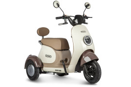 Трицикл электрический Rutrike Gelbert Ogma (48/60V, 650W, бело-коричневый)