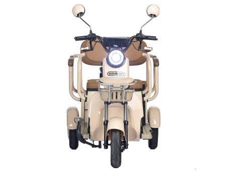 Трицикл электрический Rutrike Gelbert Atlas 48V/60V 600Вт (зеленый)