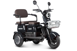 Трицикл электрический Rutrike Gelbert Sun (48/60V, 650W, черный)