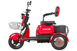Трицикл электрический Rutrike Gelbert Sun (48/60V, 650W, зелено-белый)