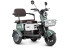 Трицикл электрический Rutrike Gelbert Sun (48/60V, 650W, зелено-белый) (0000271-3057)