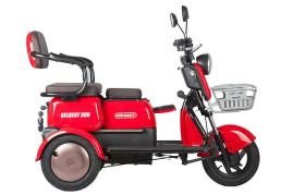 Трицикл электрический Rutrike Gelbert Sun (48/60V, 650W, красный)