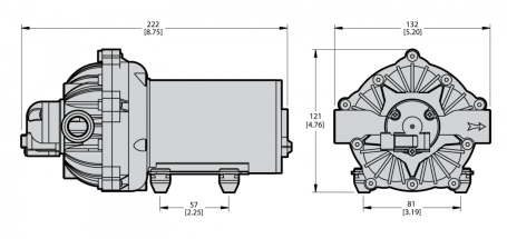 Мембранный насос Comet EVERFLO EF 5500 (4.2 бар, 18.9 л/мин, 12В) (33002-00033)