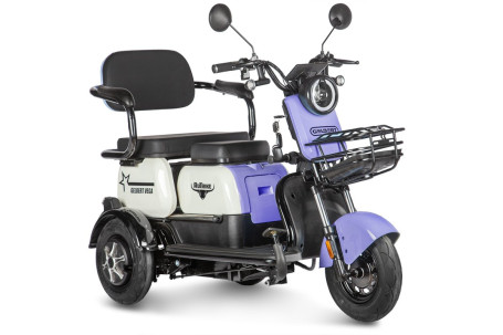 Трицикл электрический Rutrike Gelbert Vega 48V/60V 600Вт (фиолетовый)