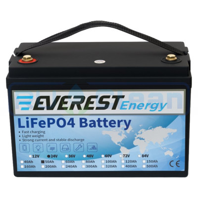 Тяговый аккумулятор Everest Energy (24В, 50Ач, LiFePO4)